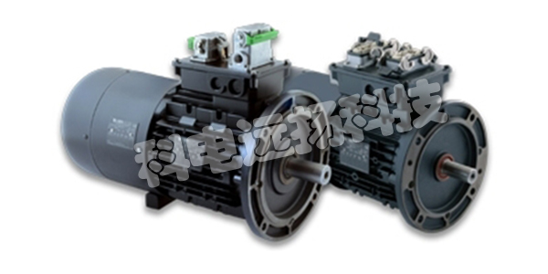 NERI MOTORI电机,意大利NERI MOTORI,意大利电机,NERI MOTORI型号,NERI MOTORI电机型号