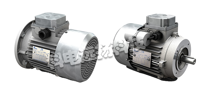 MOTOVARIO电机,意大利电机,MOTOVARIO电机特性,意大利MOTOVARIO电机,意大利MOTOVARIO