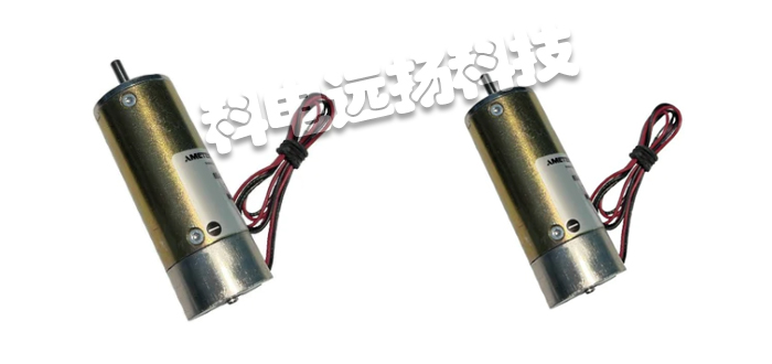 SERVO电机,SERVO直流电机,瑞士电机,瑞士直流电机,8540系列,SERVO直流电机描述,瑞士SERVO